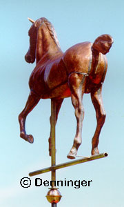 Hackney Horse Rear View