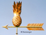 Go to Pineapple Weathervane Page