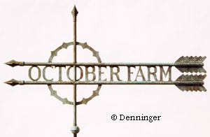 Denninger Twin Arrows Weather Vane